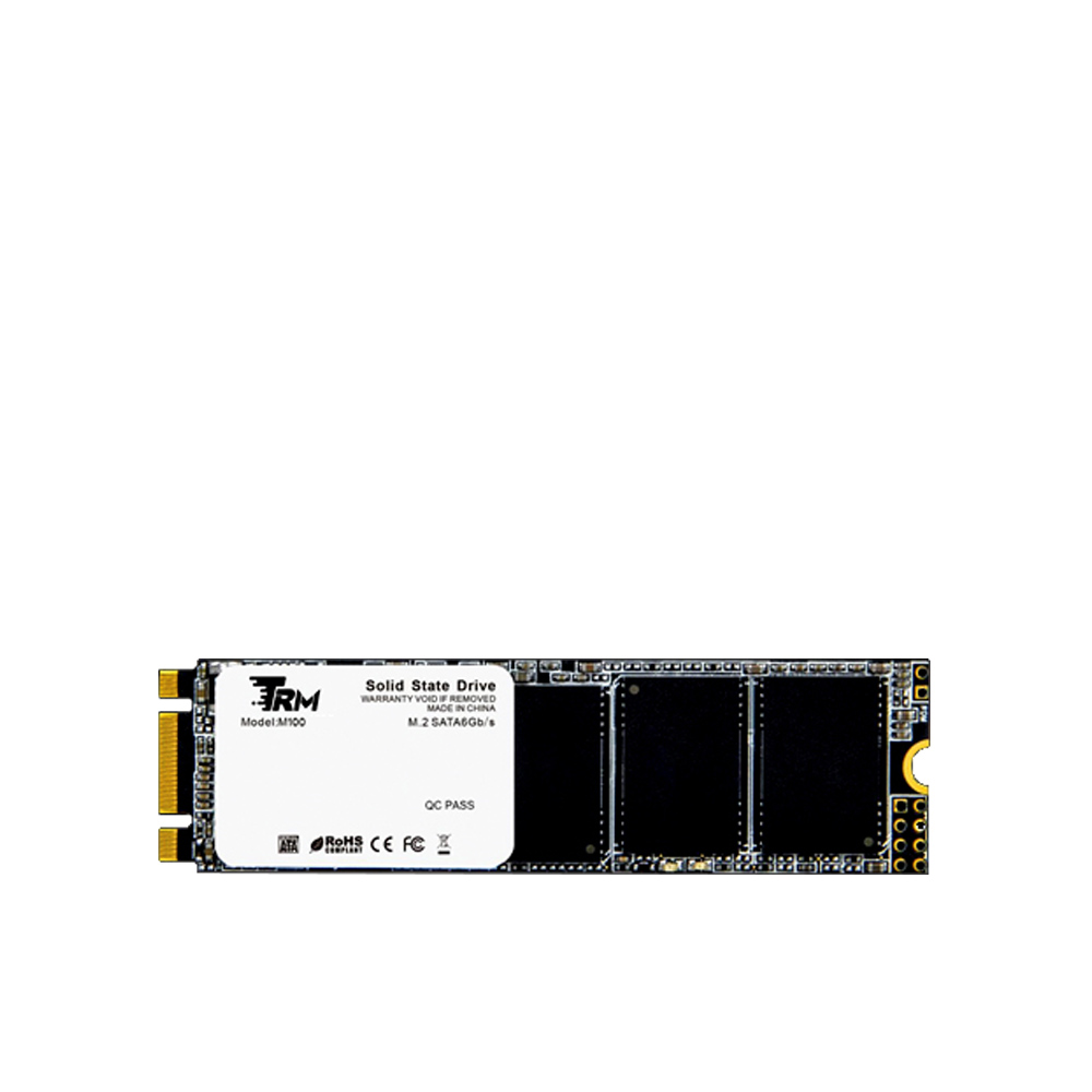 Ổ cứng SSD XTREND TRM M2 256GB M100